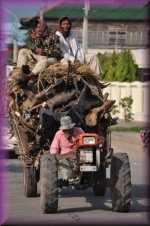 Transport